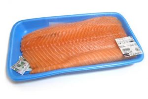 salmonfilet01